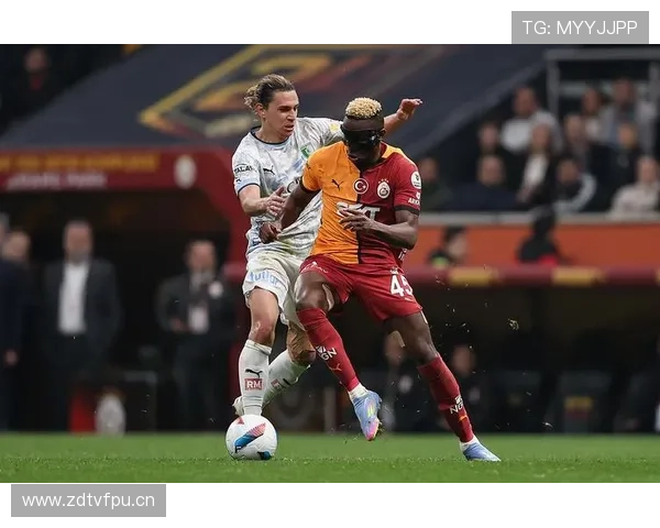 奥斯梅恩与哈兰德英超数据差异及战术角色解析