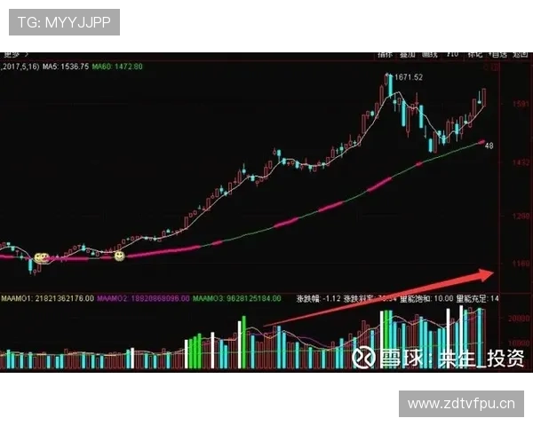山东泰山，重返巅峰之路：近期状态恢复与赛季走势展望
