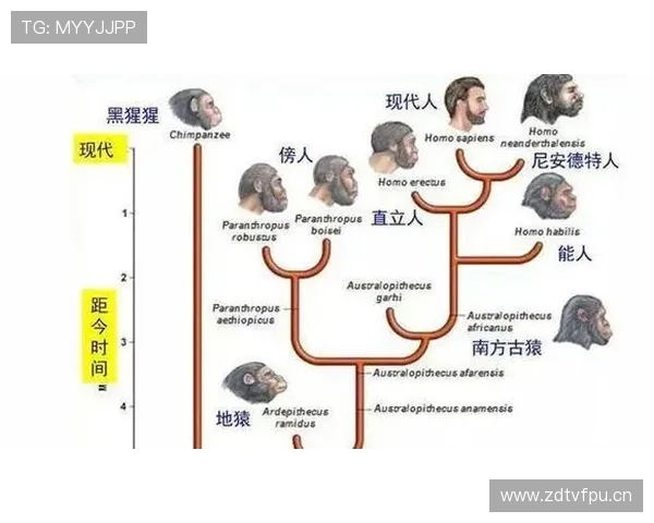 罗杰斯战术体系的核心机制与执教影响力的持续进化路径